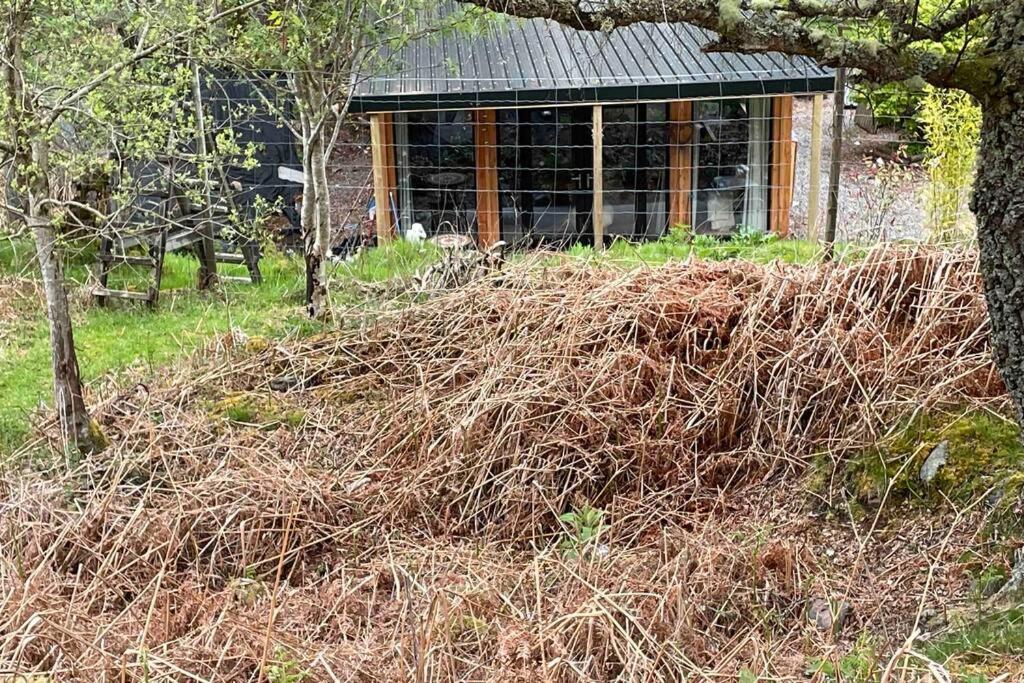 Coorie Doon Cabin! Great Scottish Welcome Fort Augustus Exterior foto